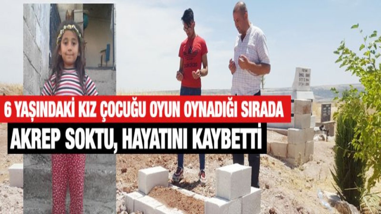 Akrebin soktuğu kız çocuğu hayatını kaybetti