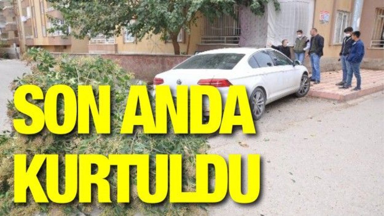 Otomobilin altında kalmaktan son anda kurtuldular