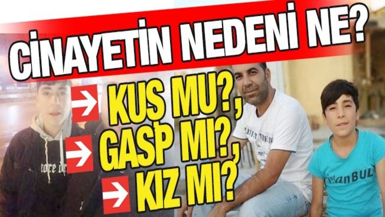 Cinayetin nedeni ne? Kuş mu?, Gasp mı?, Kız mı?