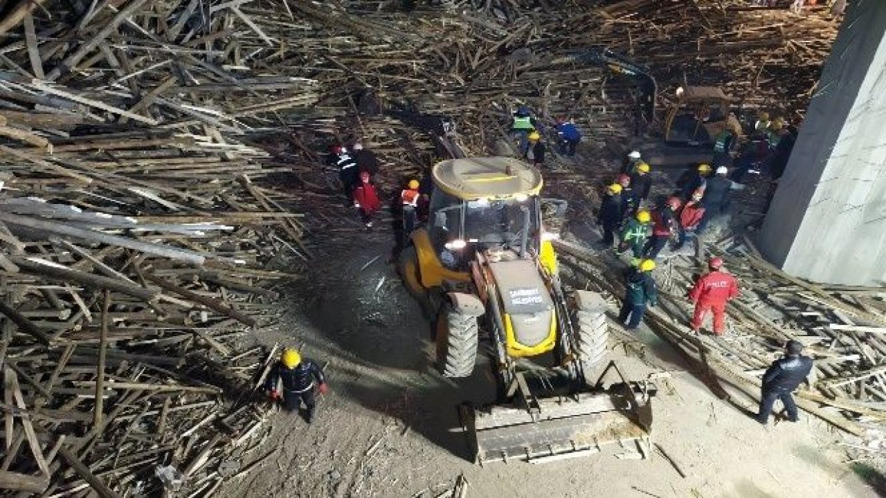 20 bin ton ve bin 500 kamyon ağaçtan bahsediyoruz