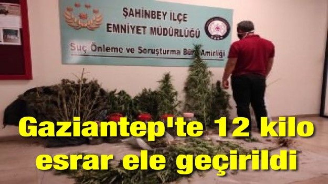 Gaziantep'te 12 kilo esrar ele geçirildi