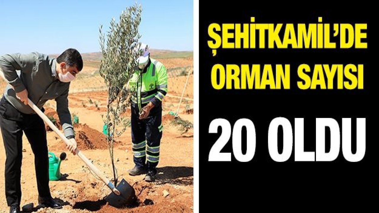 ŞEHİTKAMİL’DEKİ ORMAN SAYISI 20 OLDU