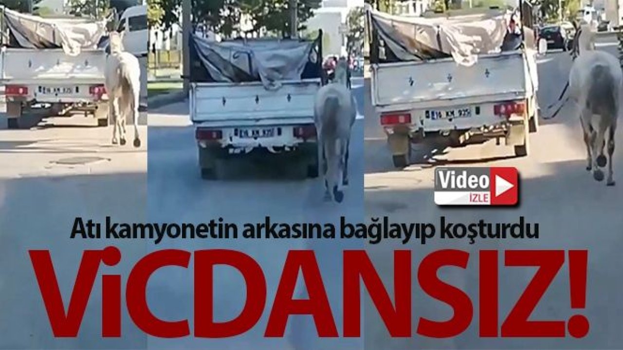 Atı kamyonetin arkasına bağlayıp koşturdu