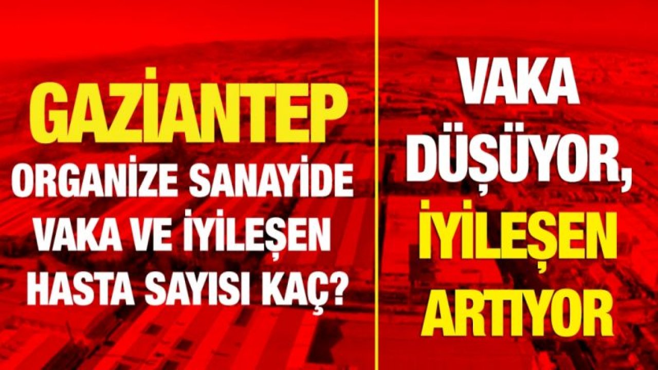 Gaziantep Organize Sanayide vaka ve iyileşen hasta sayısı kaç?