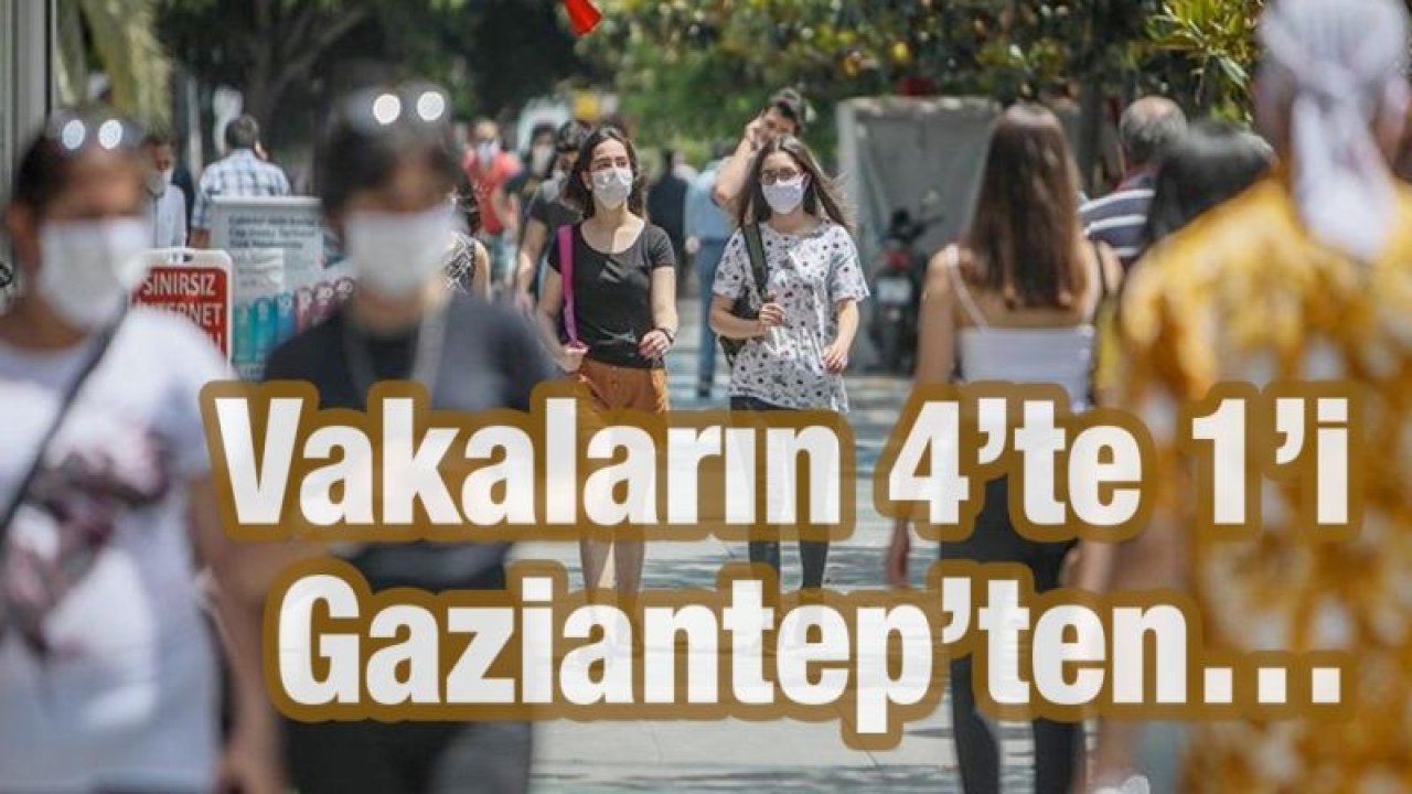 Vakaların 4’te 1'i Gaziantep’ten…