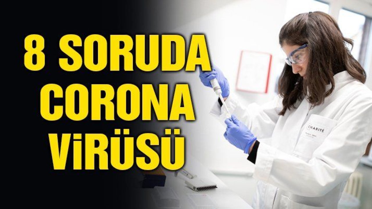 8 soruda Corona Virüsü