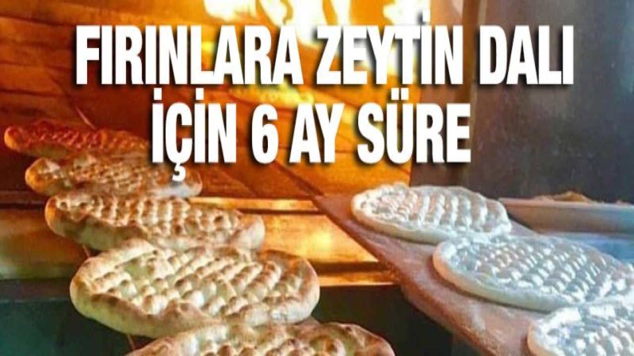 Fırınlara zeytin dalı için 6 ay süre