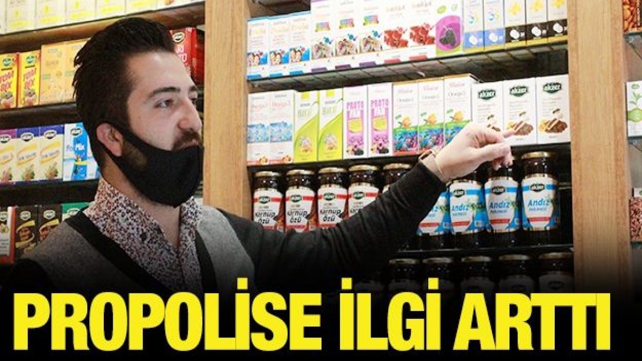 Korona virüs propolise ilgiyi arttırdı