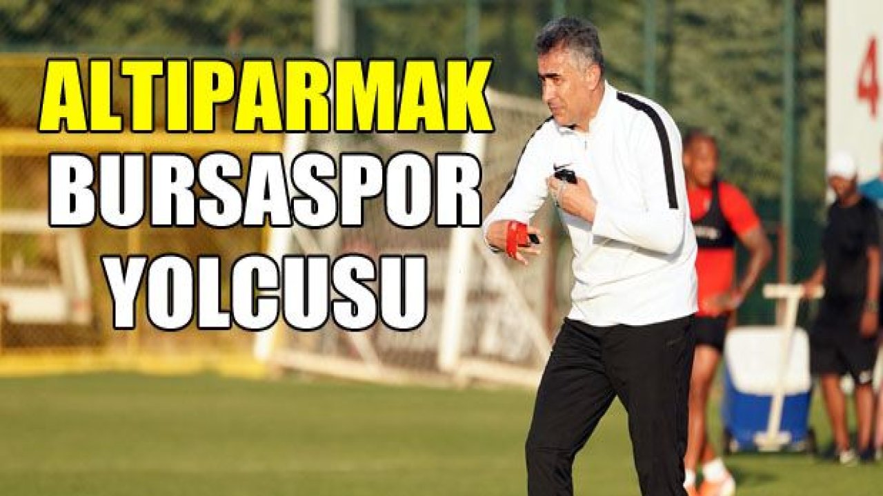 Mehmet Altıparmak, Bursaspor yolcusu