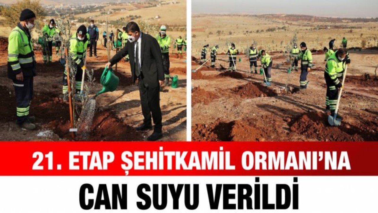 21. Etap Şehitkamil ormanı’na can suyu verildi