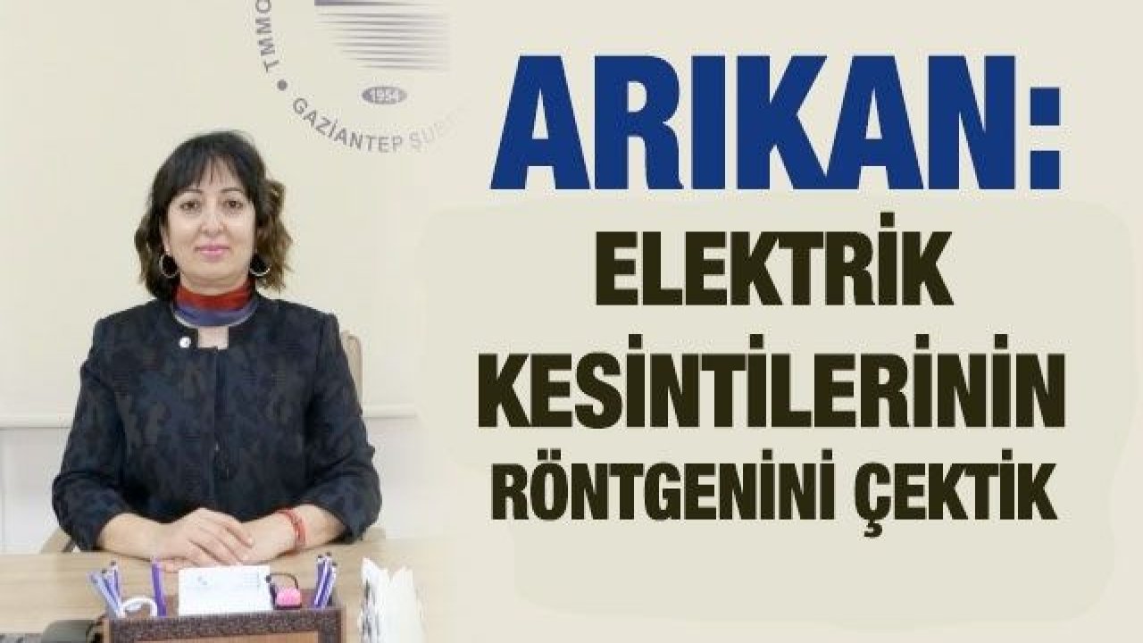 Arıkan: Elektrik kesintilerinin röntgenini çektik