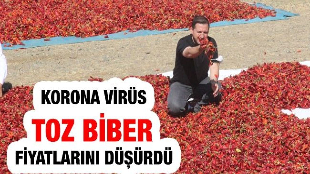 Korona virüs toz biber fiyatlarını düşürdü