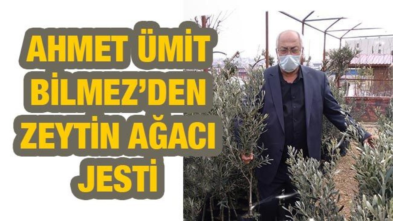 Gaziantepli Ahmet Ümit Bilmez’den zeytin ağacı jesti