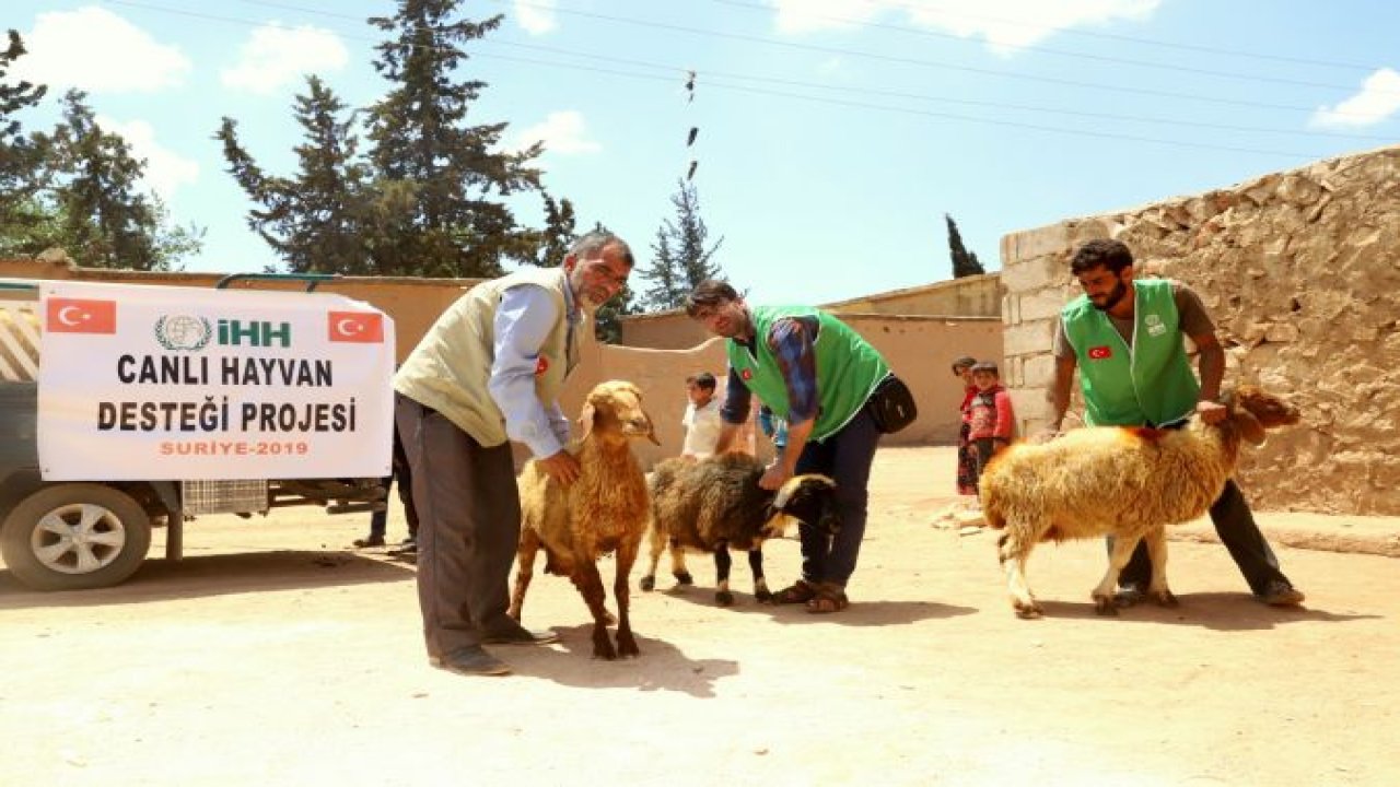 Yetim ailelere canlı hayvan desteği