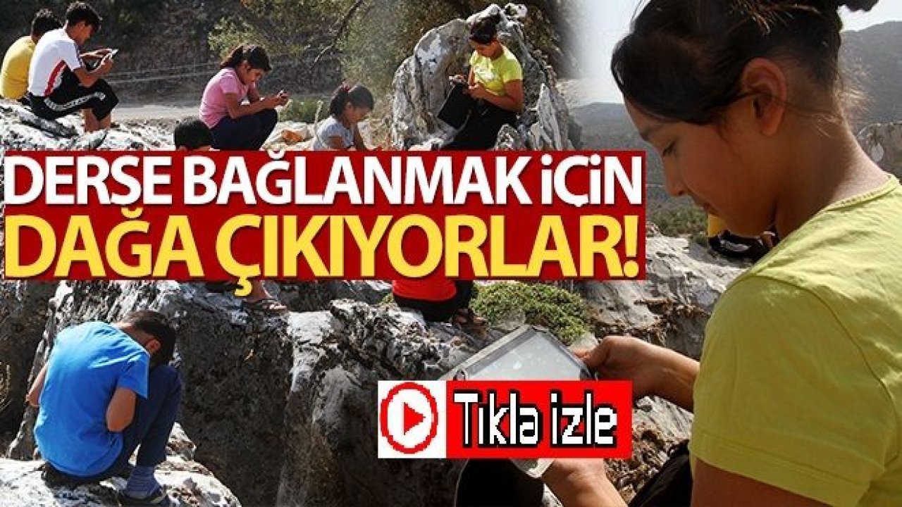 Video İzle...İnternet Çekmiyor,Derse bağlanmak için dağa çıkıyorlar!