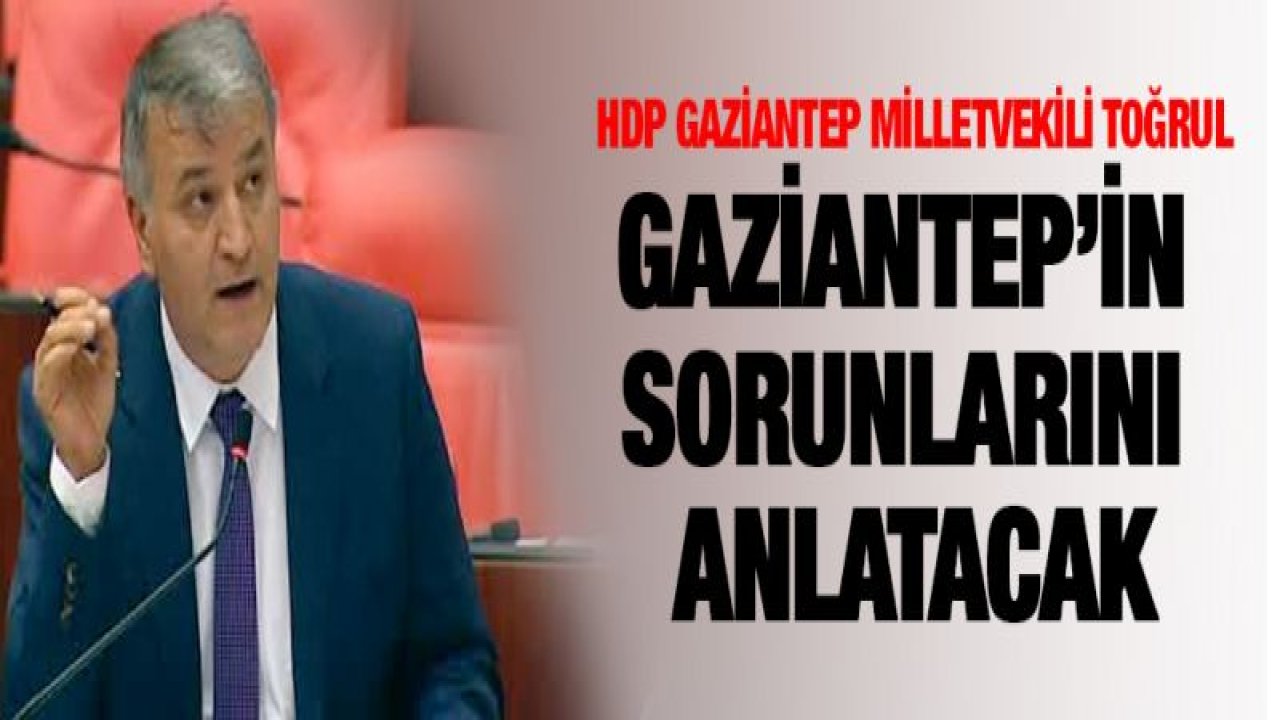 HDP Gaziantep Milletvekili Toğrul, Gaziantep'in sorunlarını anlatacak