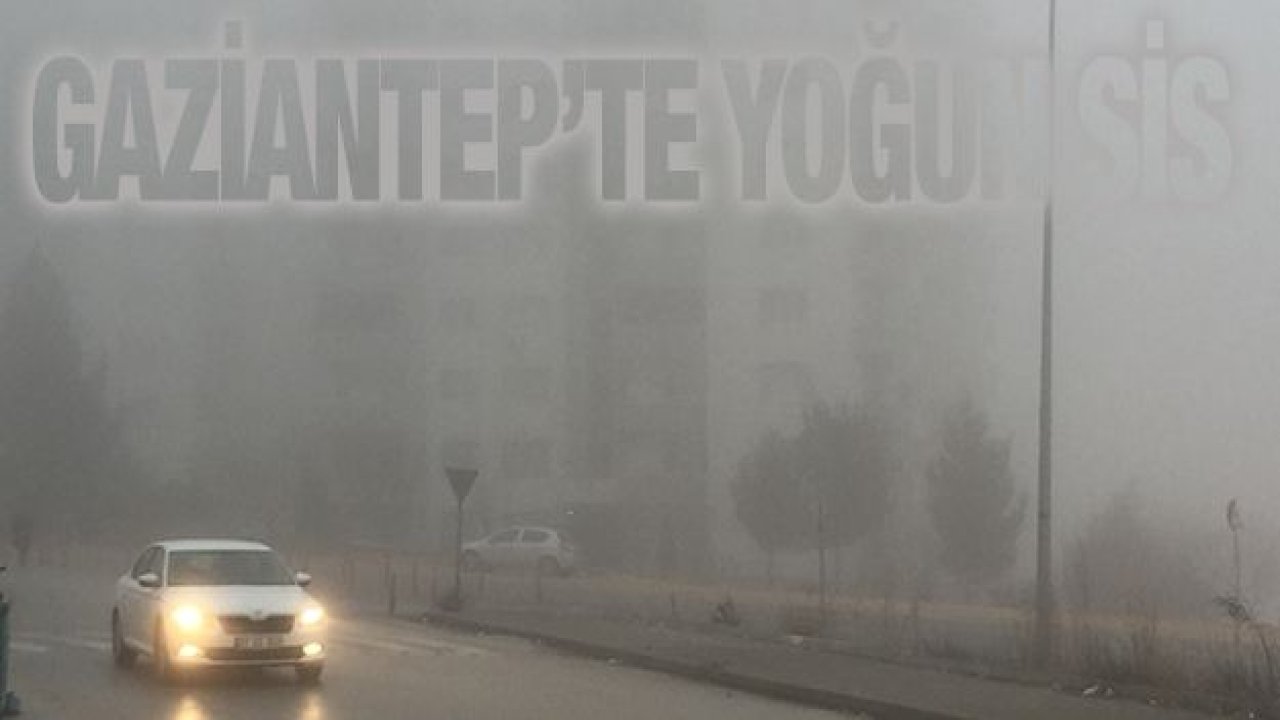 Gaziantep’te yoğun sis