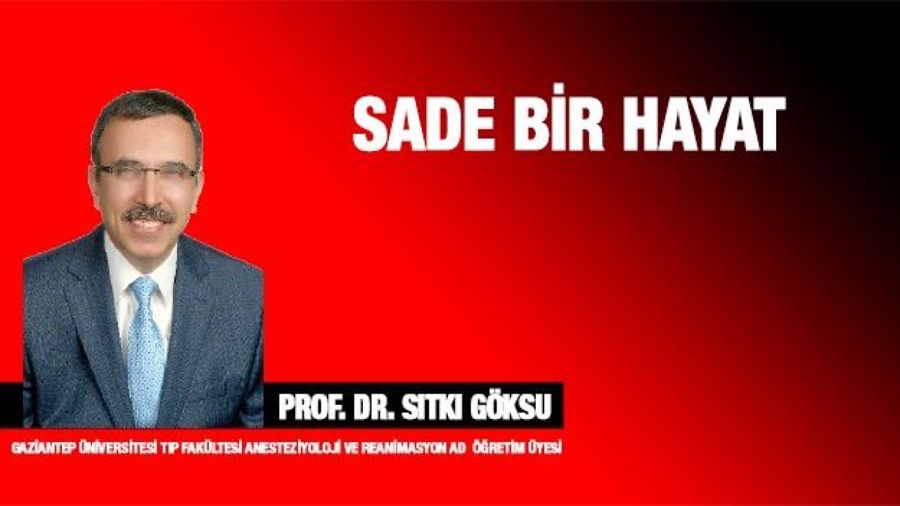 Sade Bir Hayat