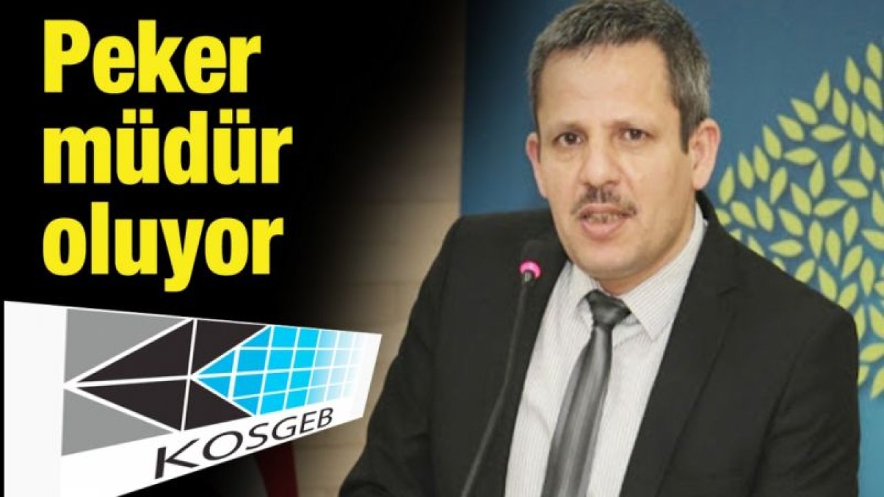 Peker müdür oluyor