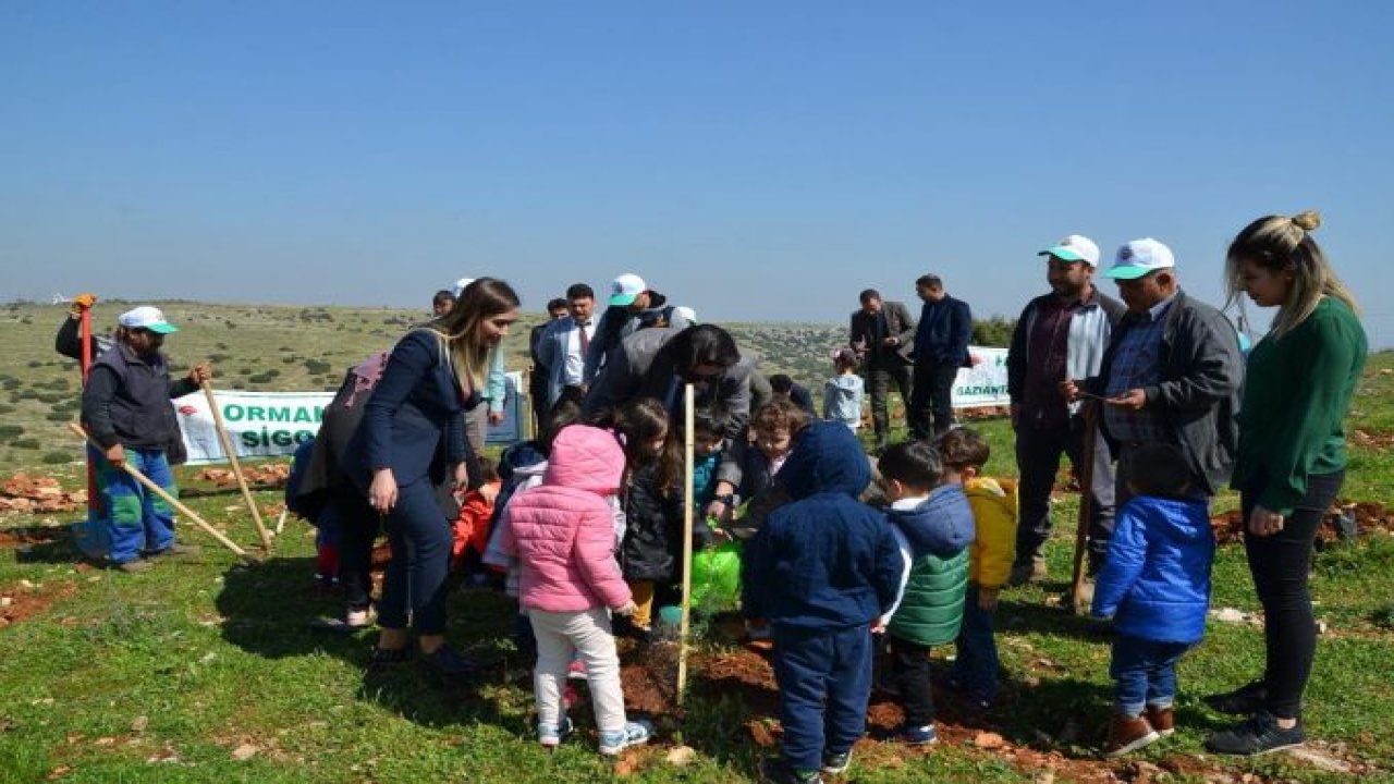 Nizip'te Adalet Ormanı oluşturuldu