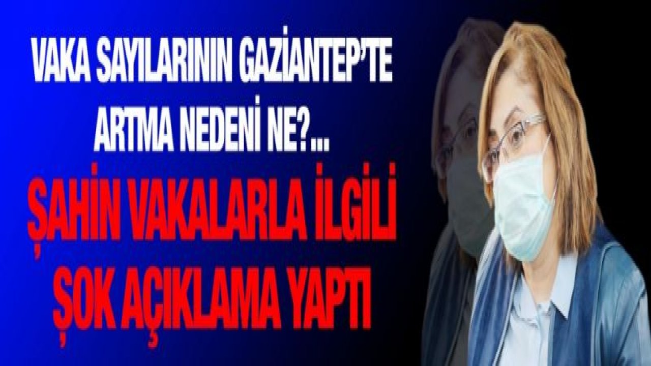 Vaka sayılarının Gaziantep’te artma nedeni ne?... Şahin vakalarla ilgili şok açıklama yaptı