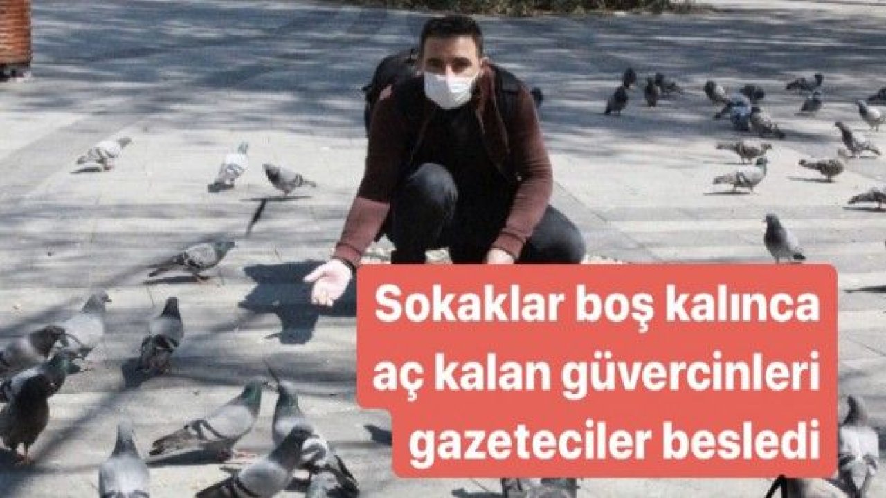 Sokaklar boş kalınca aç kalan güvercinleri gazeteciler besledi