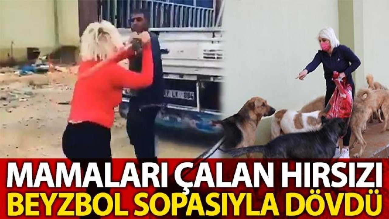 Mamaları çalan hırsızı beyzbol sopasıyla dövdü