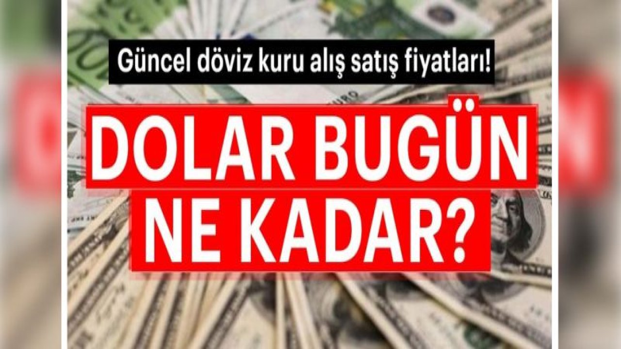 Dolar ve euro ne kadar?