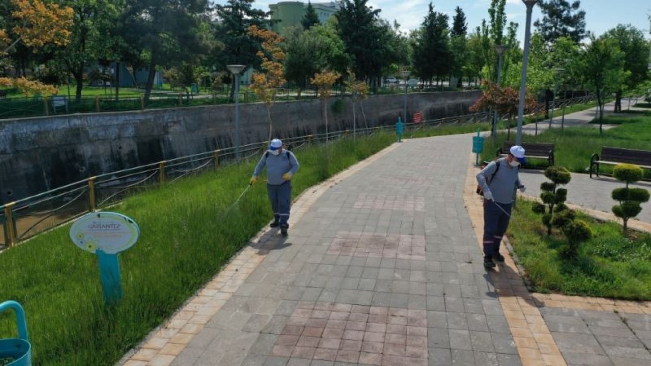 Gaziantep'te haşere ile mücadele sürüyor