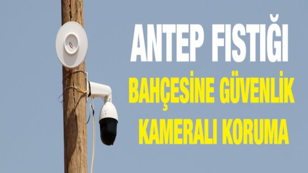 Antep fıstığı bahçesine güvenlik kameralı koruma