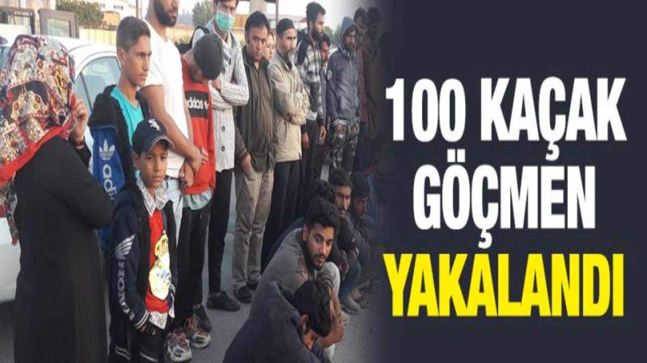 Uygulama alanlarında 100 kaçak göçmen yakalandı