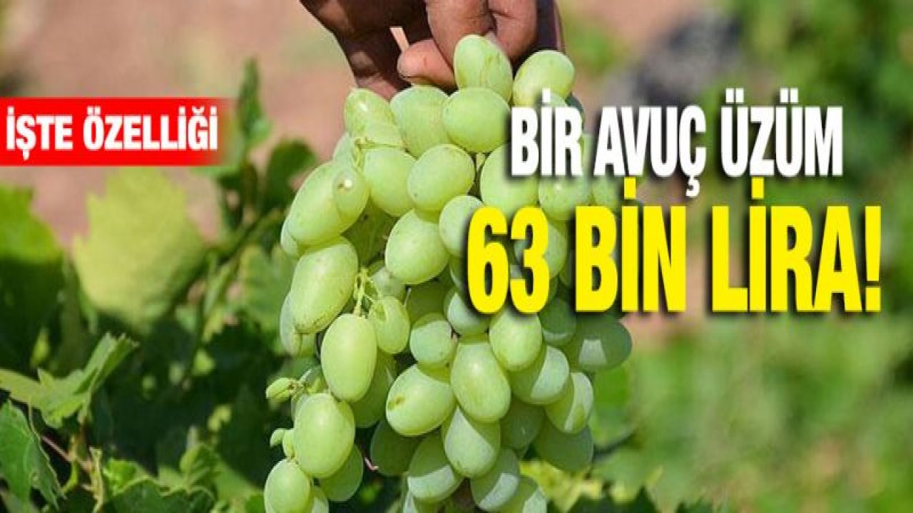 Bir avuç üzüm 63 bin lira!