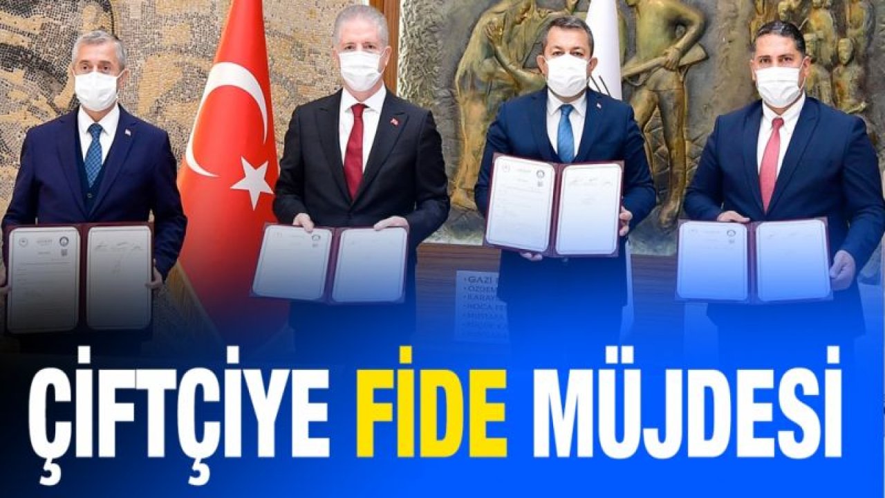 Gaziantep'te çiftçiye fide müjdesi