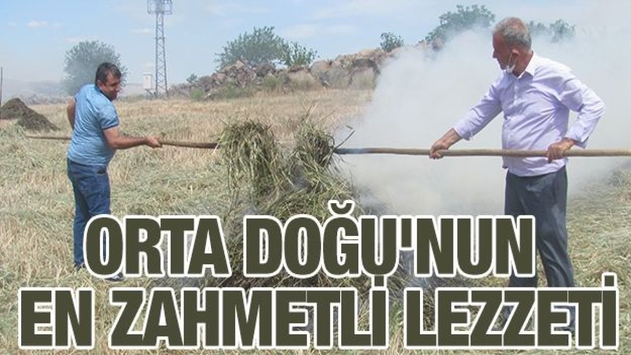 Orta Doğu'nun en zahmetli lezzeti