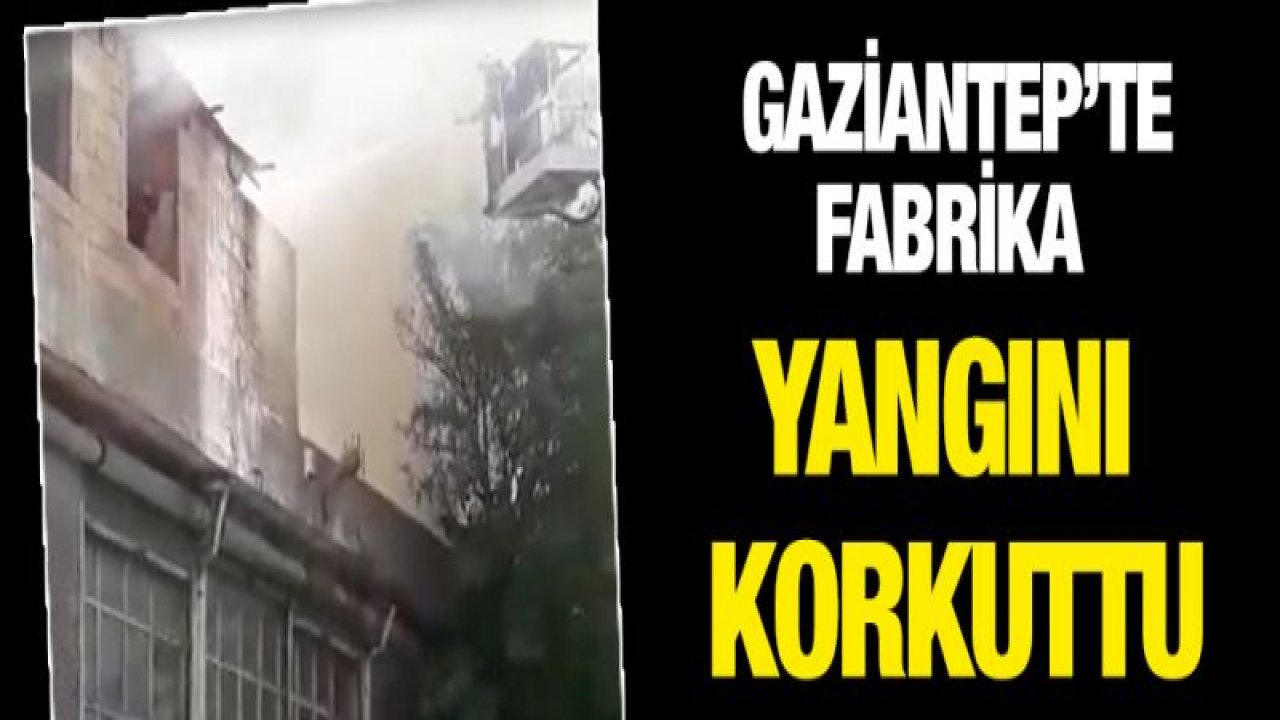 Gaziantep'te fabrika yangını!