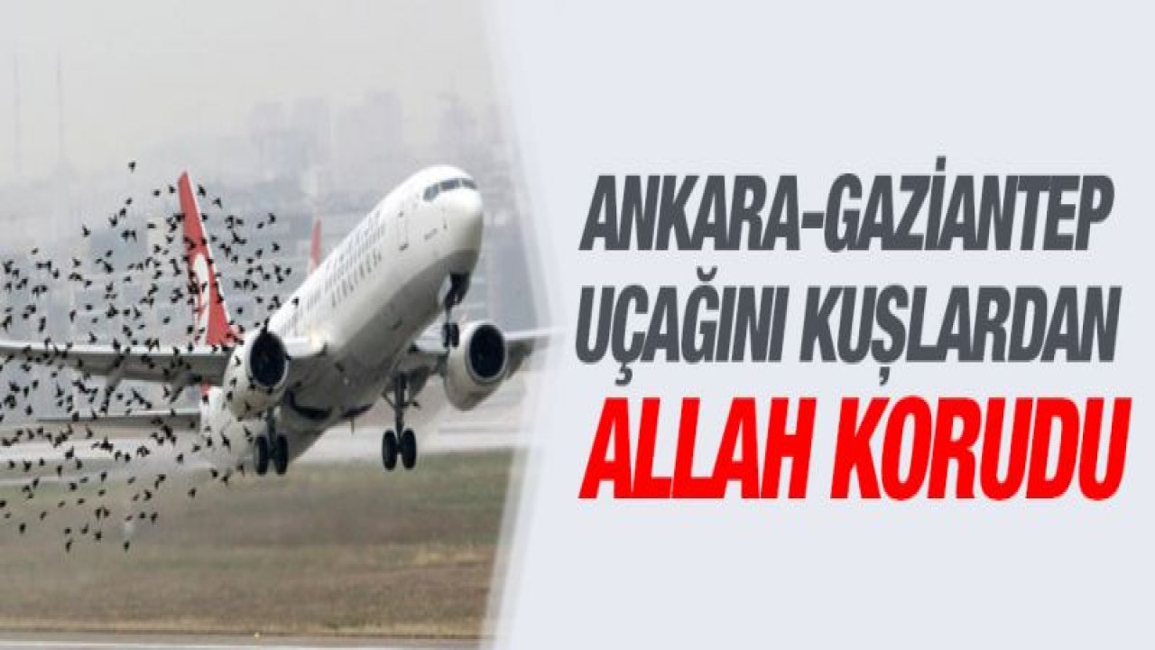 Ankara-Gaziantep uçağı havada iniş yaparken kuş sürüsüne çarptı