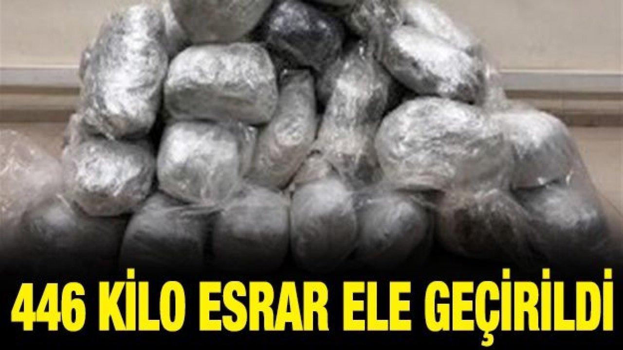 446 kilo esrar maddesi ele geçirildi