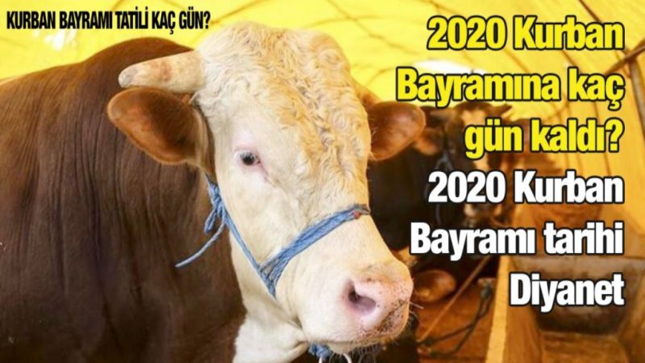 2020 Kurban Bayramına kaç gün kaldı? 2020 Kurban Bayramı tarihi Diyanet