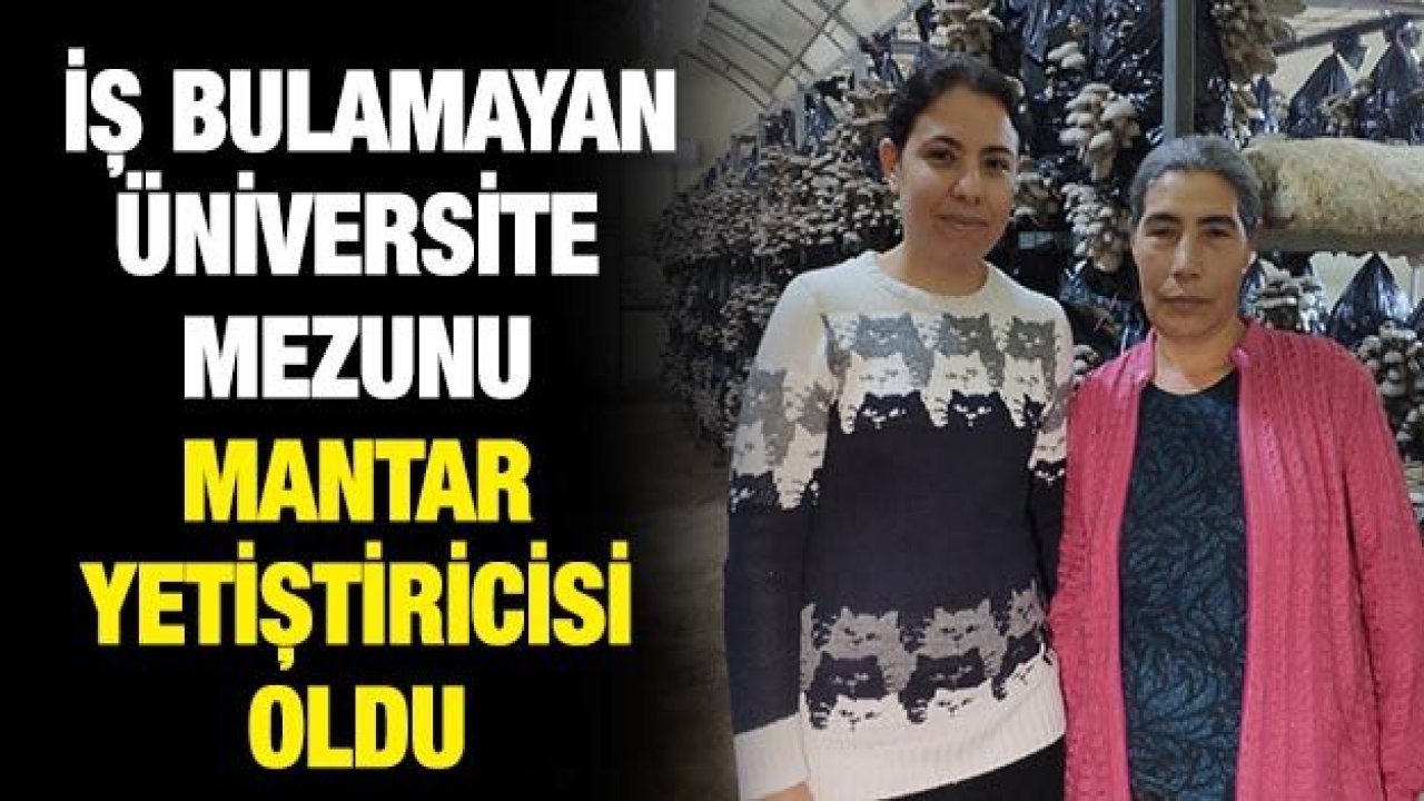 İş bulamayan üniversite mezunu mantar yetiştiricisi oldu