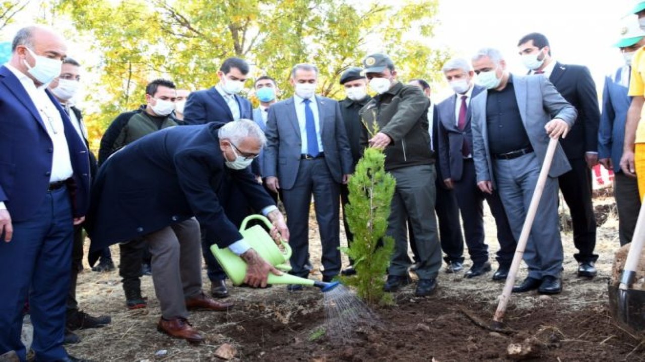 Güneydoğu`da binlerce fidan toprakla buluştu