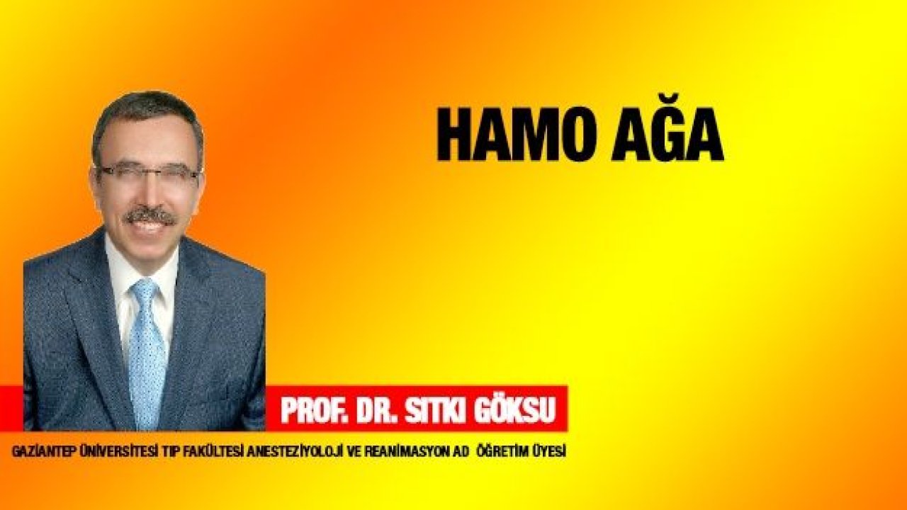 Hamo Ağa