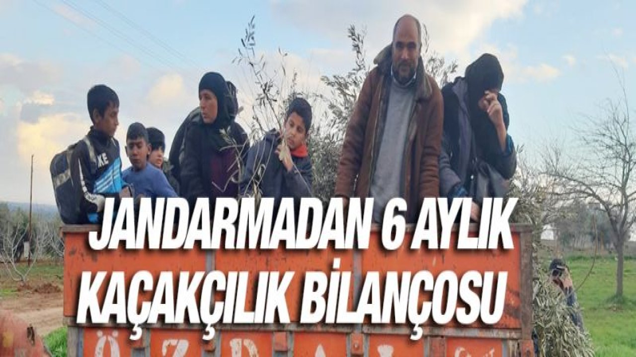 Jandarmadan 6 aylık kaçakçılık bilançosu