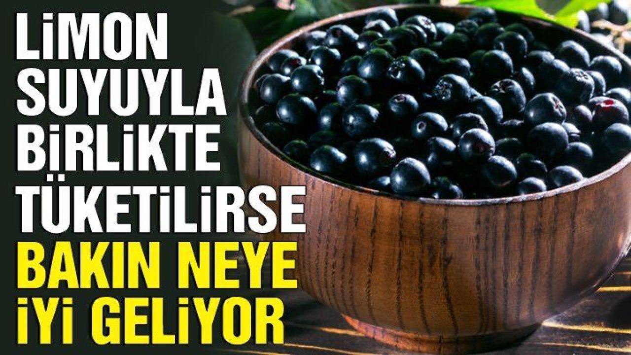 Aronya meyvesinin faydaları