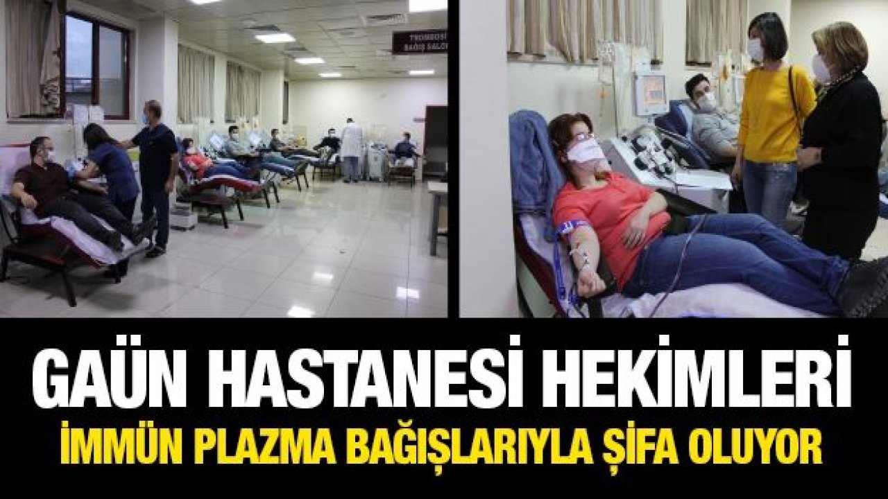 GAÜN hastanesi hekimleri immün plazma bağışlarıyla şifa oluyor