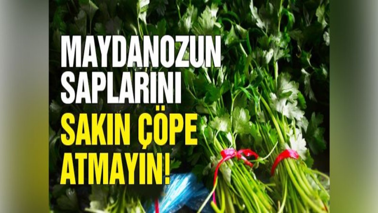 Maydanoz sapının faydaları nelerdir?