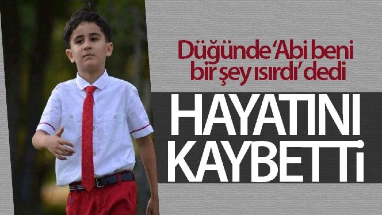 Düğünde ‘Abi beni bir şey ısırdı' diyen küçük Hamza hayatını kaybetti