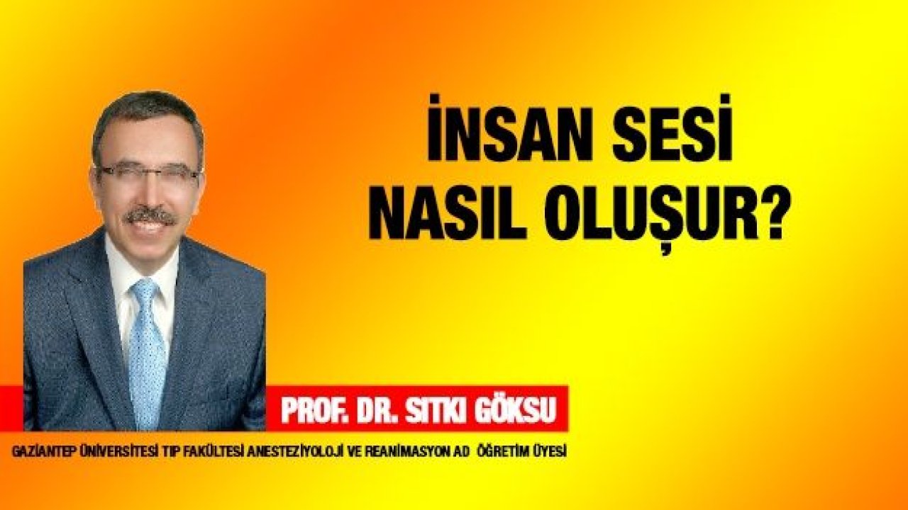 İnsan Sesi Nasıl Oluşur?