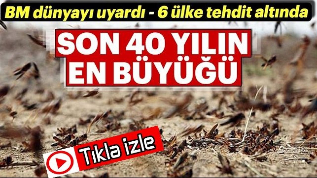 BM: '25 yılın en kötü istilası'