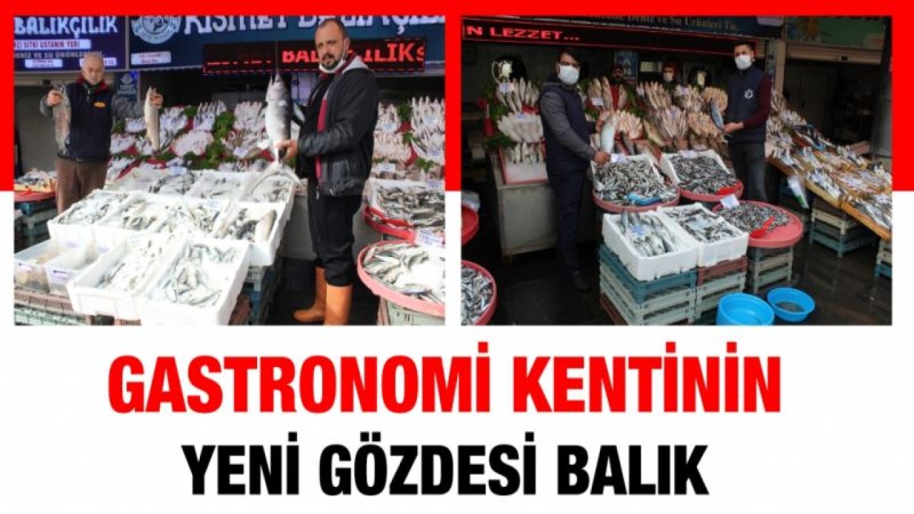 Gastronomi kentinin yeni gözdesi balık