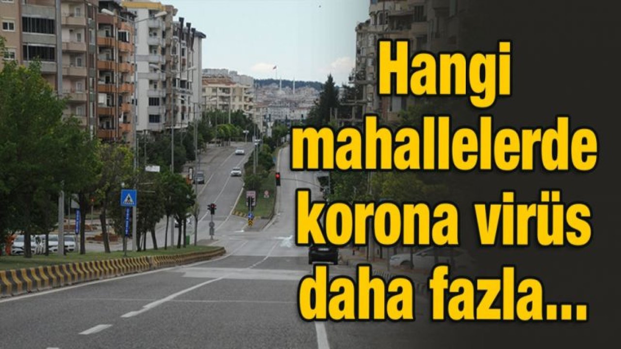 Hangi mahallelerde korona virüs fazla...